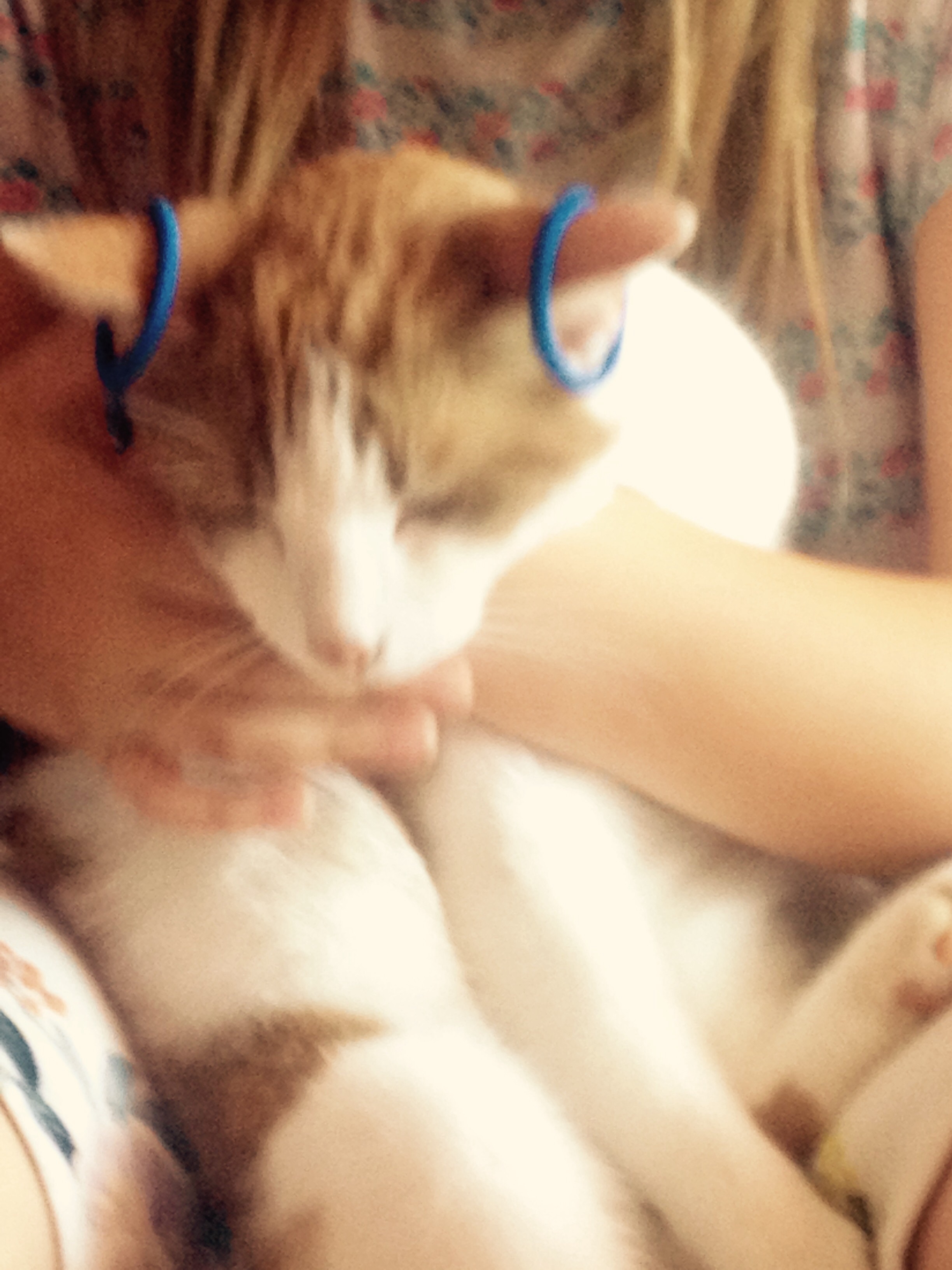 Toy and me