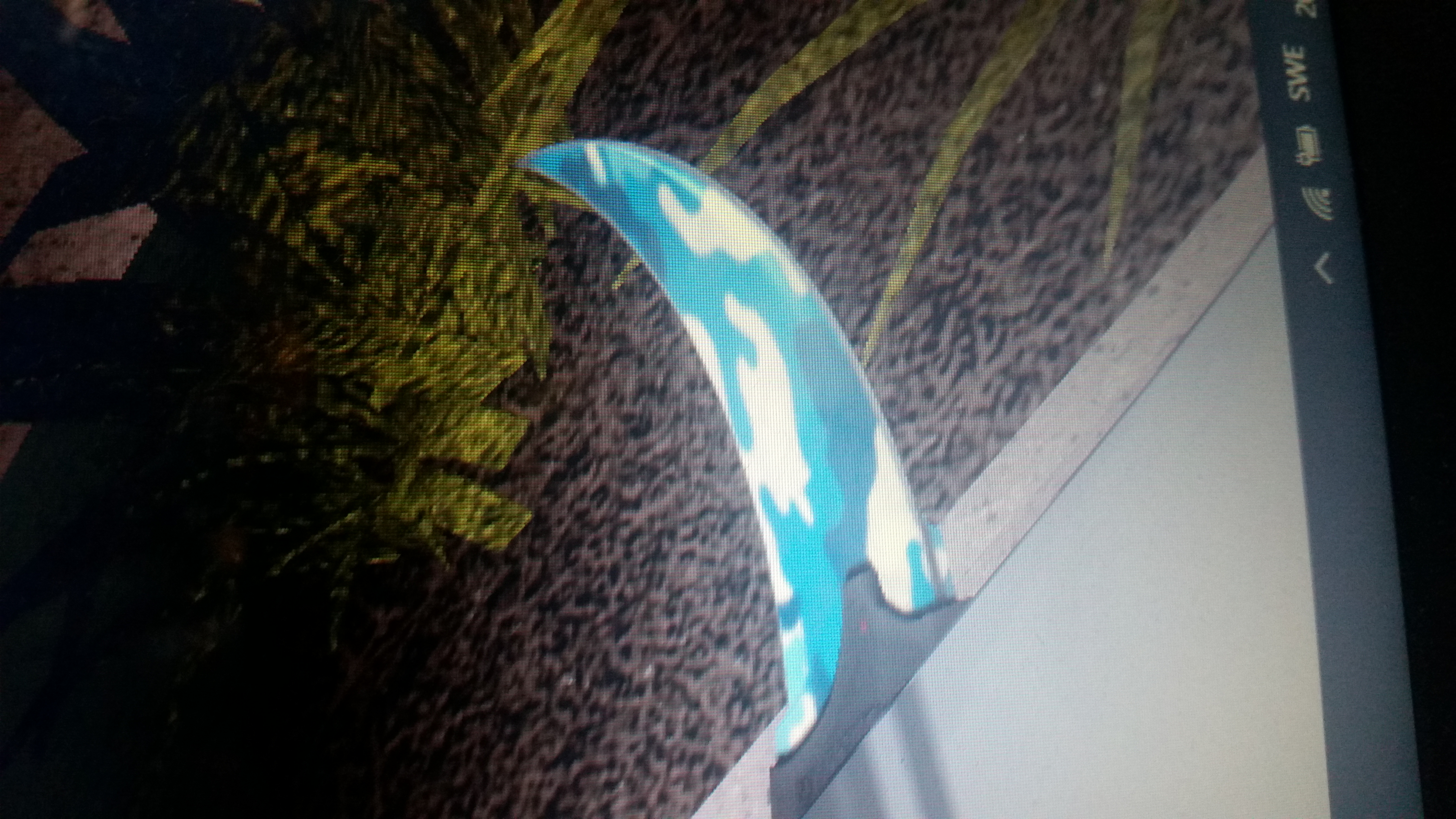 Vad kan du om roblox