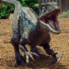 Blue the velociraptor quiz