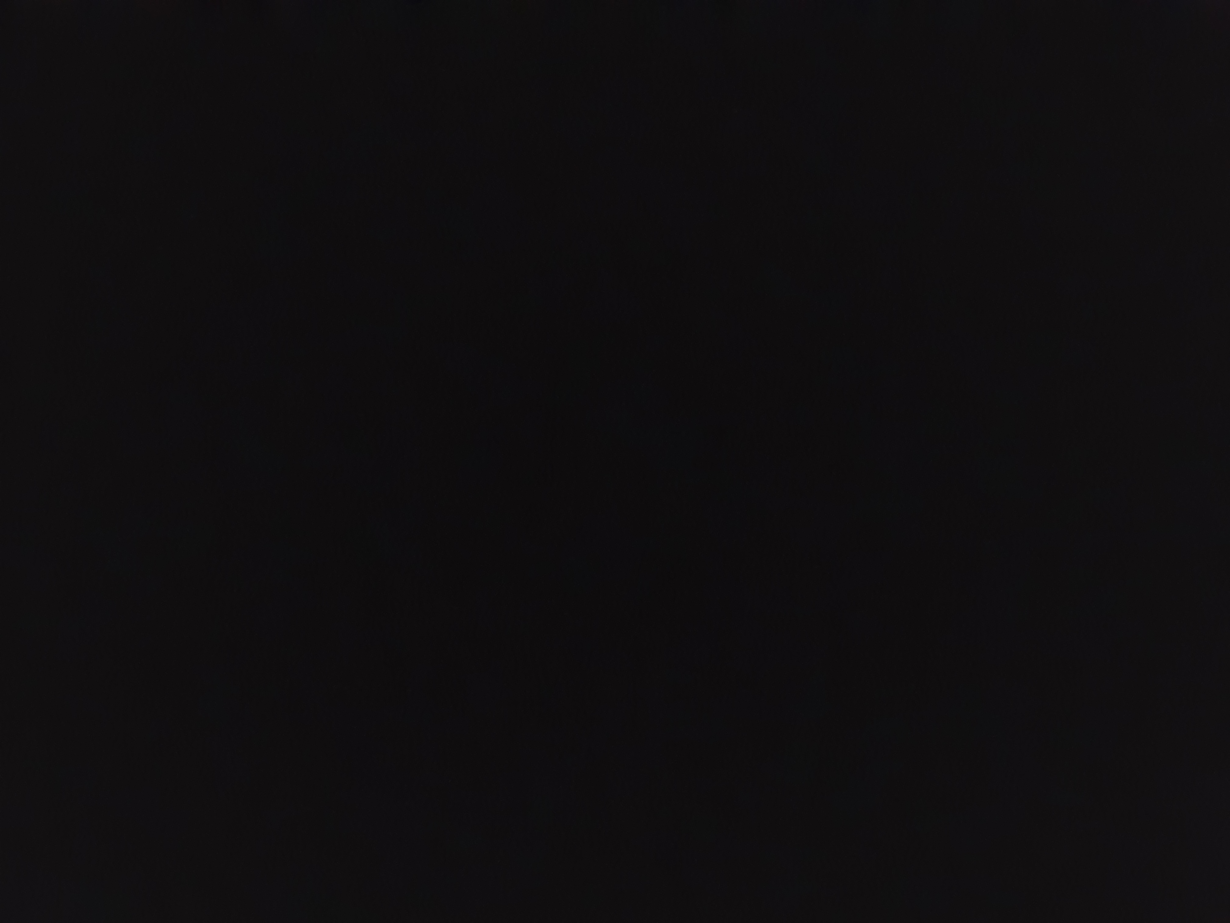 Balongvisp