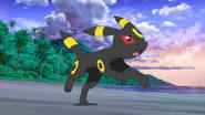 Umbreon quiz