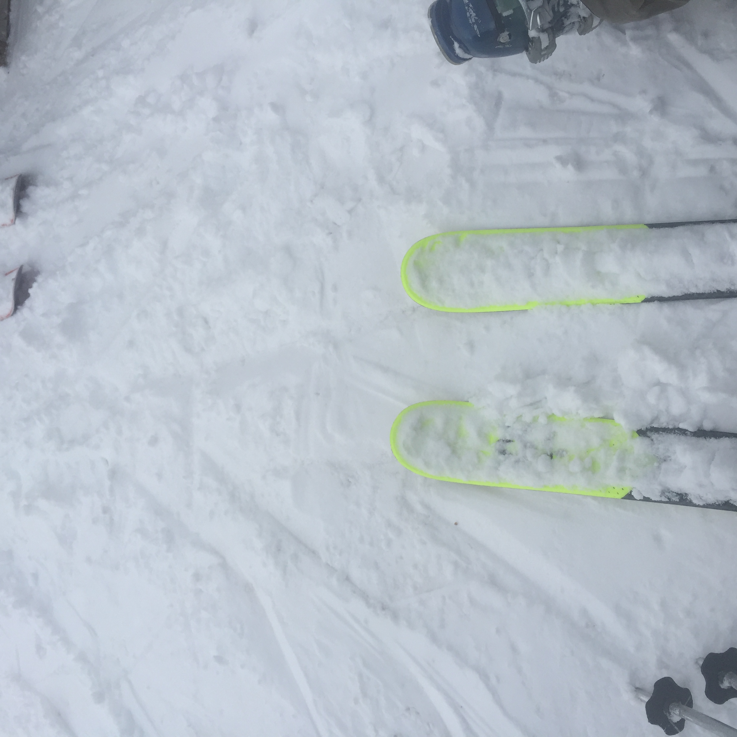 Skulle jag ligga med dig?