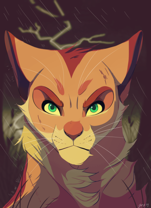 Warrior Cats quiz!