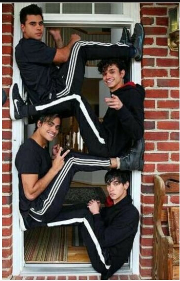 How much do you know About the Dobre fam