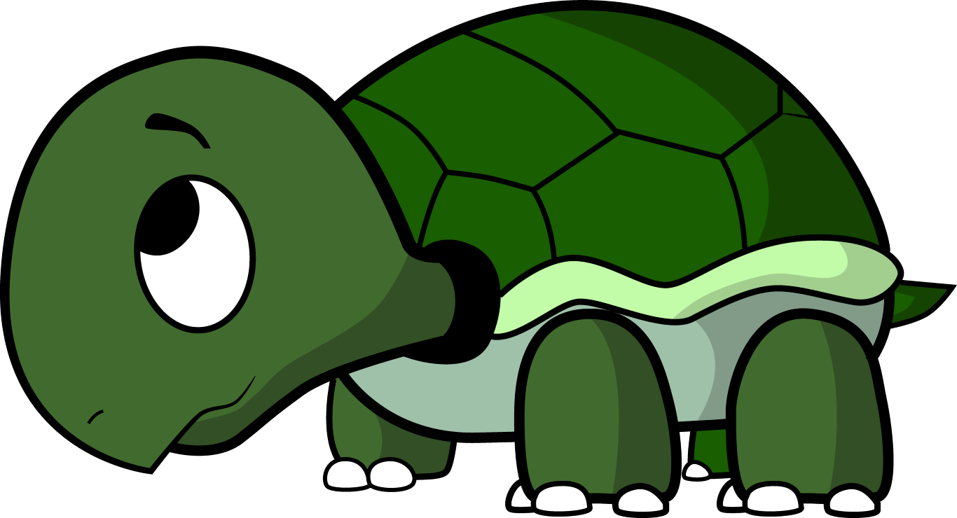 ARE YOU A TURTLE LOVER!!!!!!!!!!