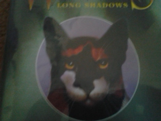Do you know the warrior cats ?