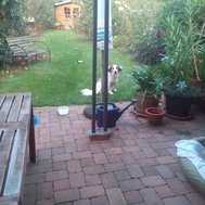 Wie gut kennst du Lilly?