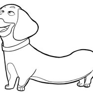 Which dog are you?