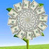 are you a flower or you money