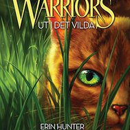 Vilken warriors karaktär är du?