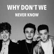 WHY DON'T WE
