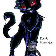 Warrior Cats