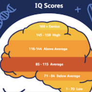 Hur högt IQ har du?