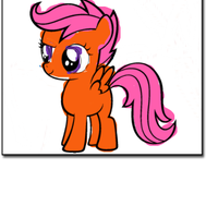 do you like pony,s