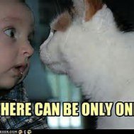 Ifz yoz wer kitten:The split up