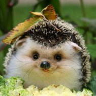 Your signature stuffed animal
