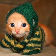 r u cute?