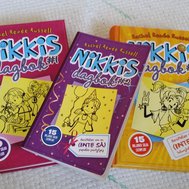 Vad kan du om Nikkis dagbok?