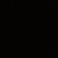 Hoeveel weet jij van zoé