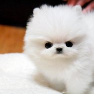 Hur kommer du att se i din framtid??