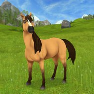 hur mycket kan du om sso