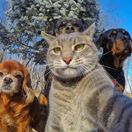 What is your favorite animal?