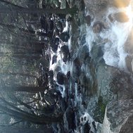 To Kill a Mockingbird vocab set 3